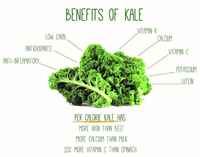 Kale_benefits